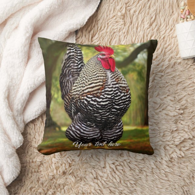 Coussin Rooster de Plymouth Barré (Couverture)