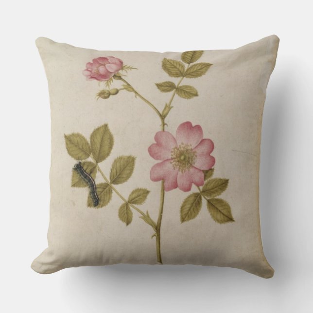 Coussin Rosa Canina - Dogrose et Caterpillar (crayon et (Recto)