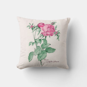 Coussin Rosa Centifolia Foliacea