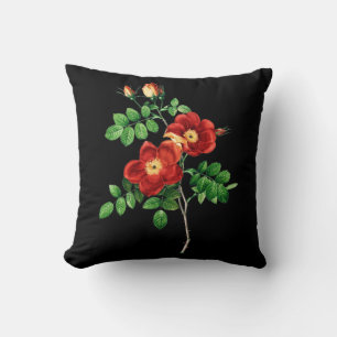 Coussin Rosa Eglanteria
