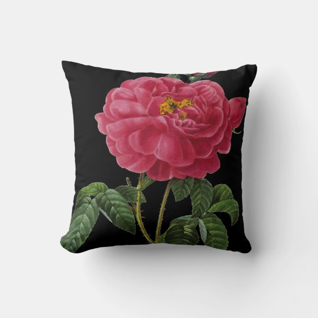 Coussin Rosa Gallica (Recto)