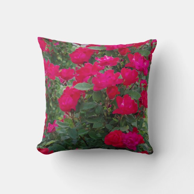 coussin rose (Recto)