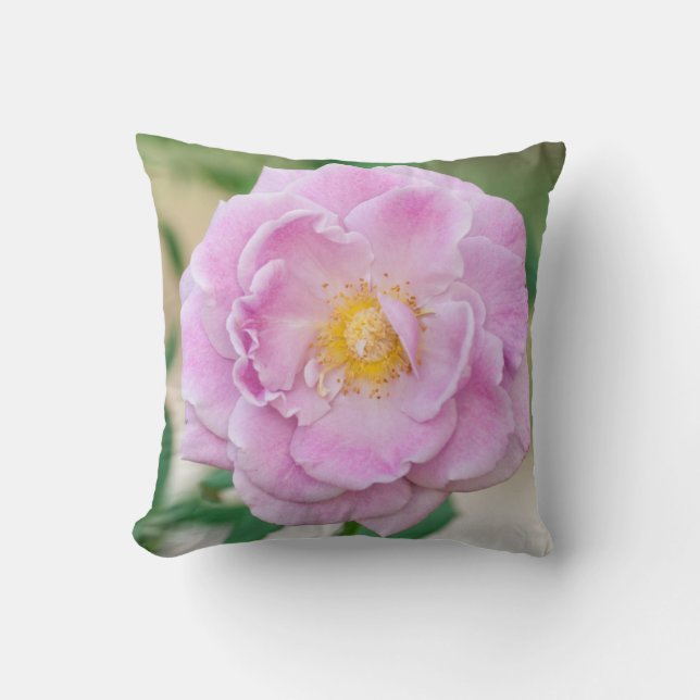 Coussin Rose (Recto)
