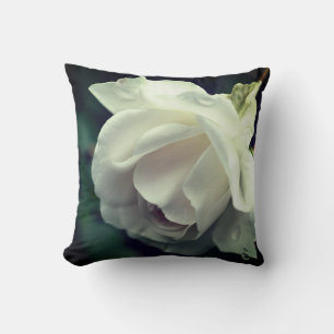 Coussin Rose blanche avec Raindrops Floral