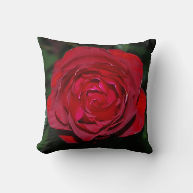 coussin rose de nuit (Recto)