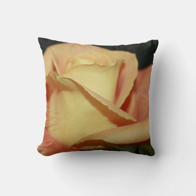 Coussin Rose de plage (Recto)