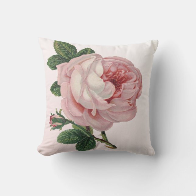 Coussin rose de rose de chou de pêche (Recto)
