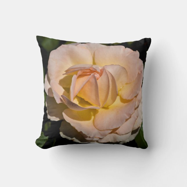 Coussin Rose de thé (Recto)