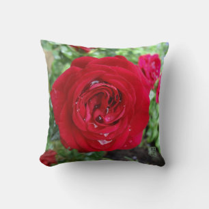 Coussin Rose de thé 16 po x 16 po