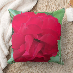 Coussin Rose délicate en photo
