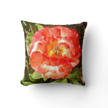 Rose du jour ensoleillé.......