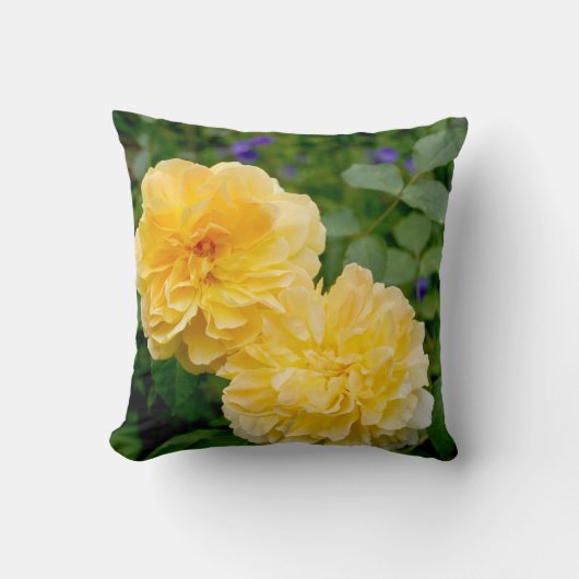Coussin Rose jaune (Recto)