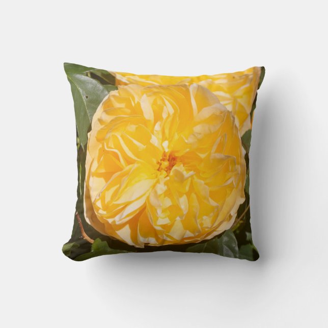 Coussin Rose jaune dans le jardin (Recto)
