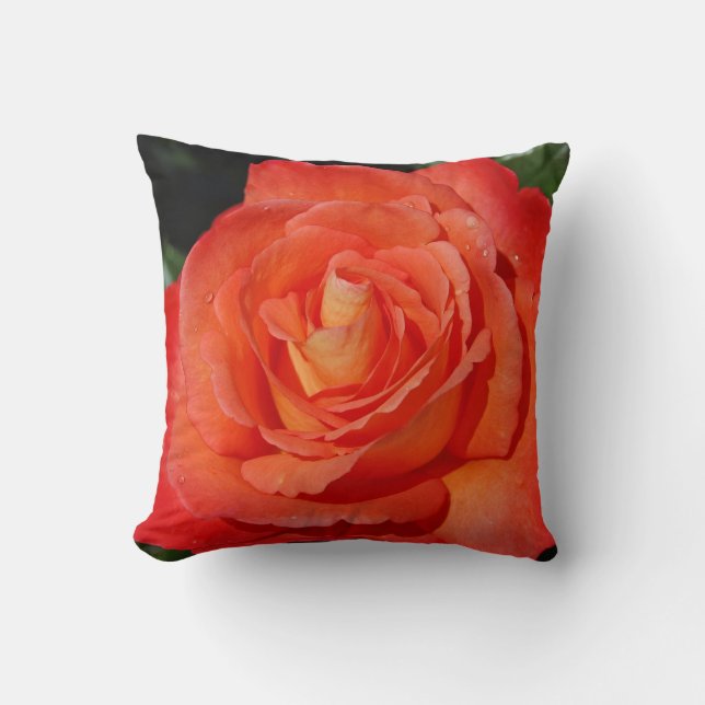 Coussin Rose orange (Recto)