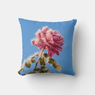 Coussin Rose rose avec givre glacée dans une nature hivern