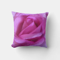 Rose rose violet photo rose simple moderne audace