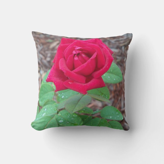 Coussin Rose rouge (Recto)
