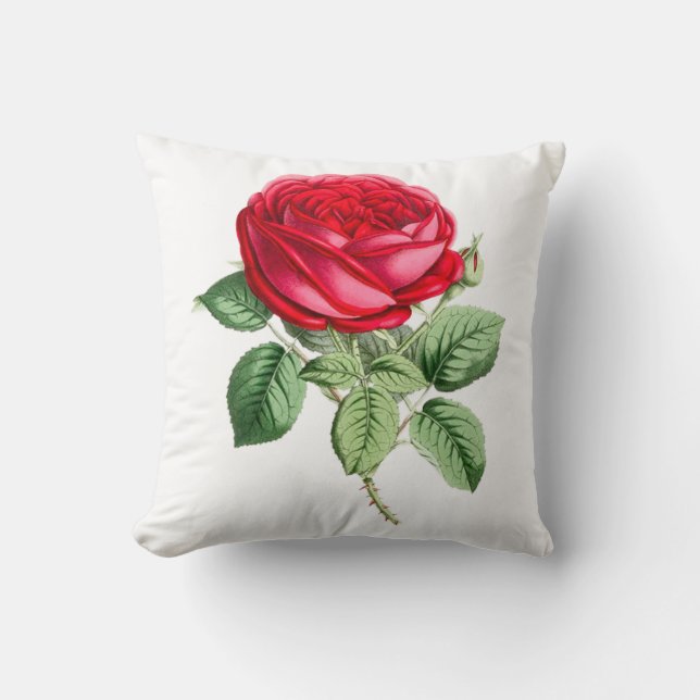 Coussin Rose rouge antique simple (Recto)