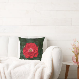 Coussin Rose rouge P6568