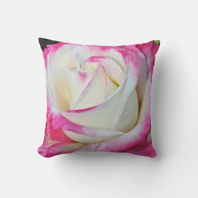 Coussin Rose simple rose et blanc lance l'oreiller (Recto)