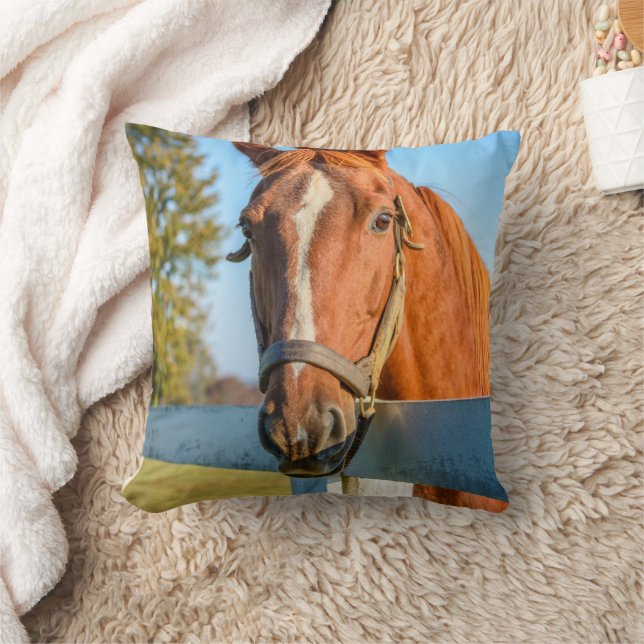 Coussin Rose Twilight | Thoroughbred Race Horse (Couverture)