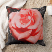 Coussin Roses Anciennes (Couverture)