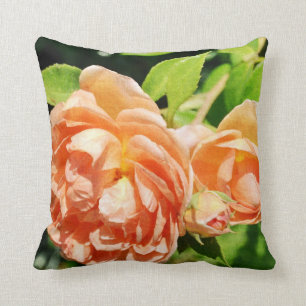 Coussin Roses de pêche dans le jardin