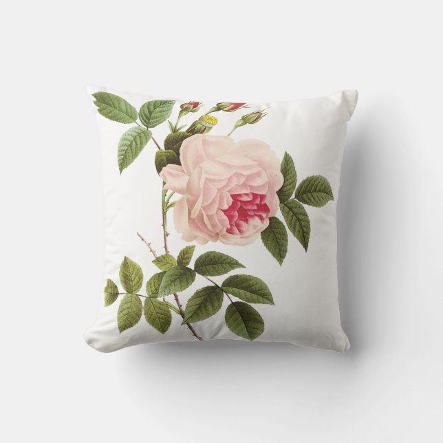 Coussin roses redoute de PixDezines (Recto)