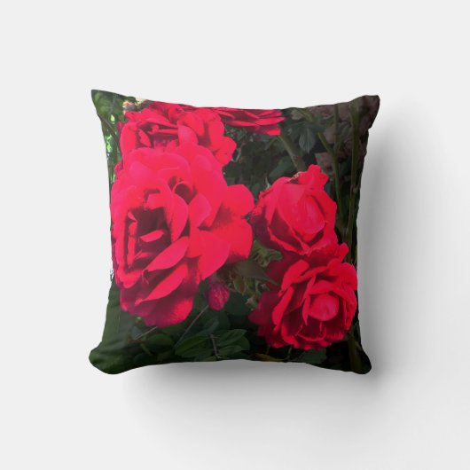 Coussin Roses rouges en fleurs (Recto)