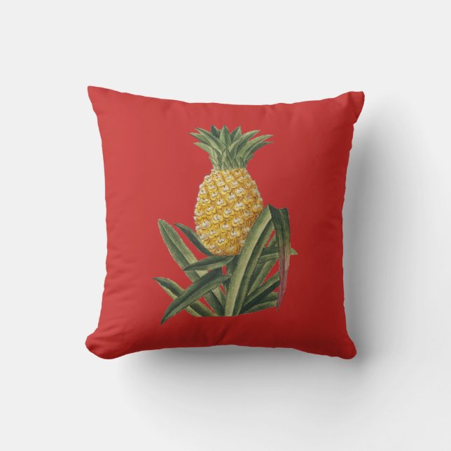 Coussin rouge d'ananas (Recto)
