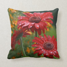 Coussin rouge de marguerite de Gerbera