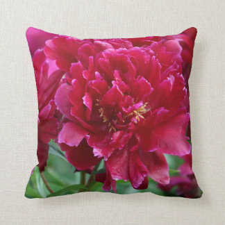 Coussin rouge de pivoine