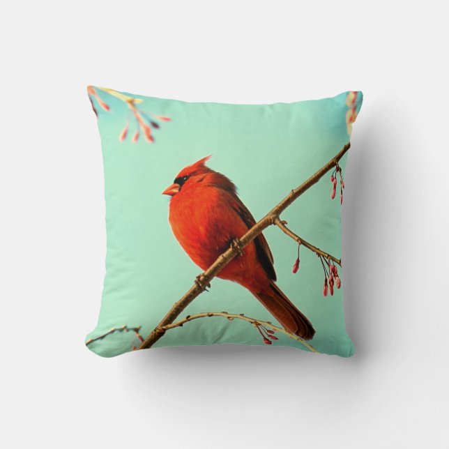 Coussin rouge d'oiseau (Recto)