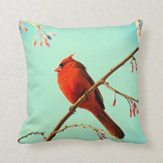 Coussin rouge d'oiseau