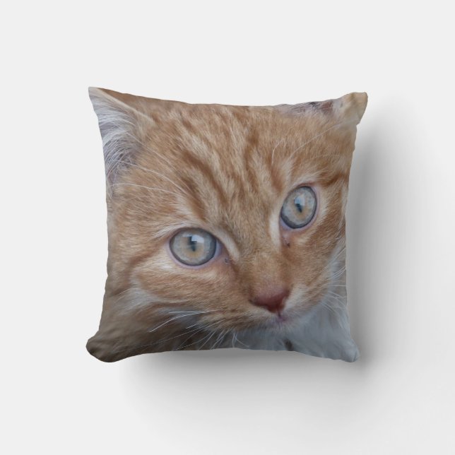 Coussin Rouge et blanc, Long-Haired, Tabby Cat Face (Recto)
