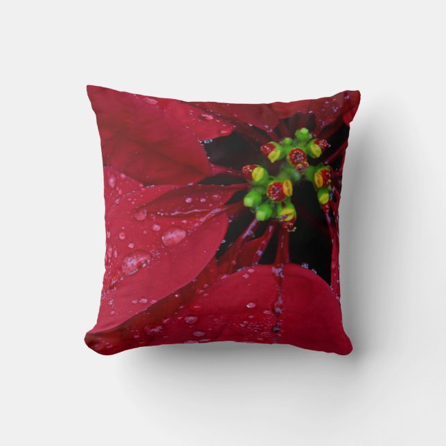 Coussin Rouge Noël Poinsettia (Recto)