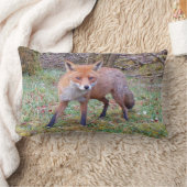 Coussin rouge renard Lumbar réversible (Couverture)