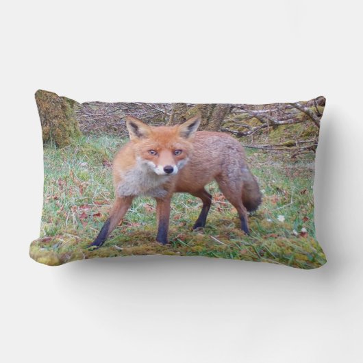 Coussin rouge renard Lumbar réversible (Recto)