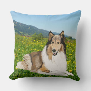 Coussin Rough Collie, Long Haired Collie