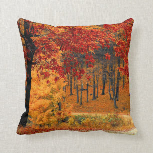 Coussin Route d'automne