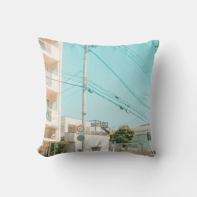 COUSSIN ROUTE PRÈS DE LA MAISON (Recto)