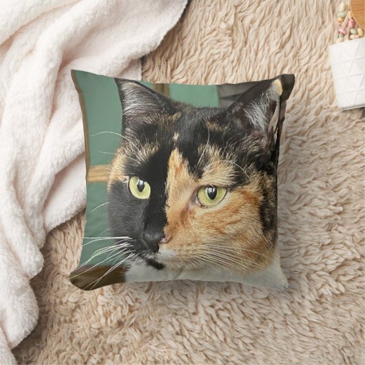 Coussin Ruby Tortie et White, 6 ans (Couverture)