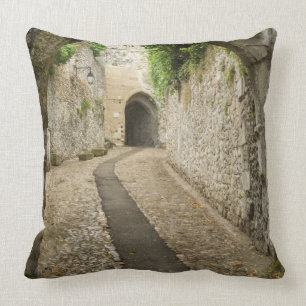 Coussin Rue en pierre grise, France