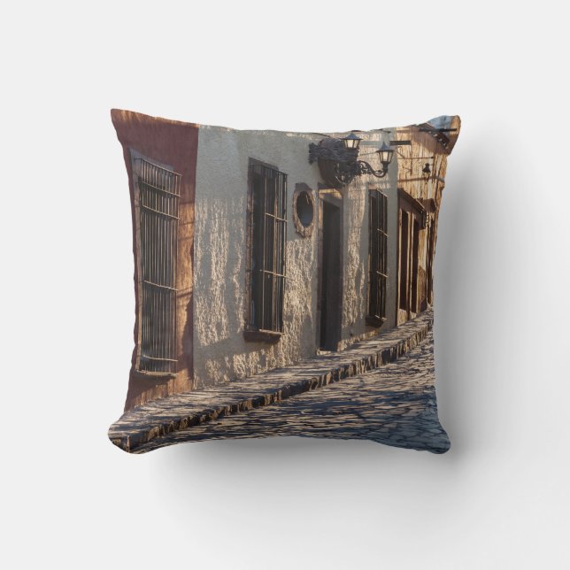 Coussin Rue pavée de Mexico (Recto)