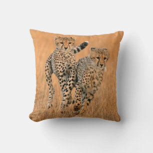 Coussin Running Young Cheetahs