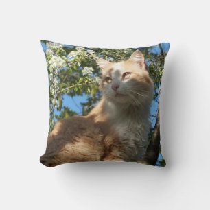 Coussin Sahara Chat Dans Un Arbre II - Jeter L'Oreiller