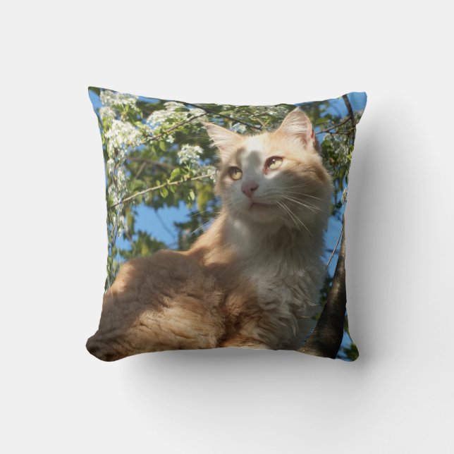 Coussin Sahara Chat Dans Un Arbre II - Jeter L'Oreiller (Recto)