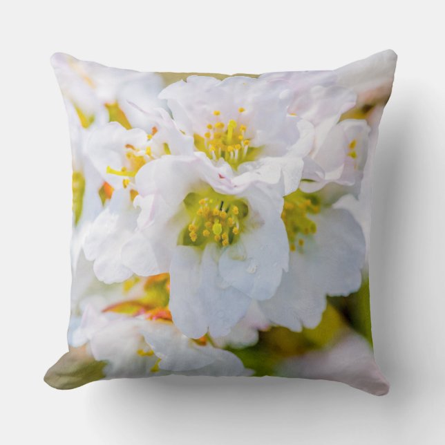 Coussin Sakura Blossom (Recto)