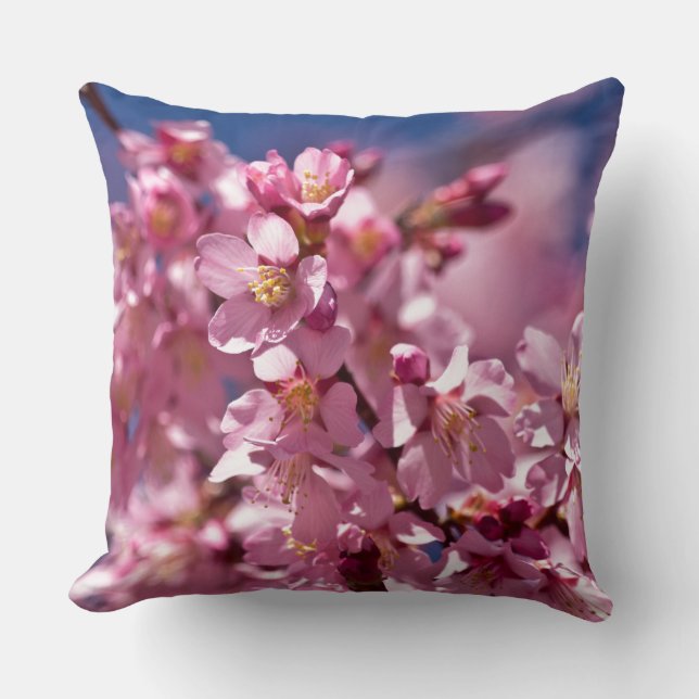 Coussin Sakura Cherry Blossoms embrassés par Sunlight (Recto)