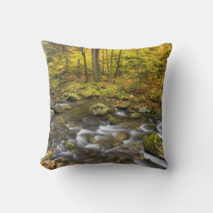 Coussin Sanderson Brook. Forêt d'État de Chester-Blanford